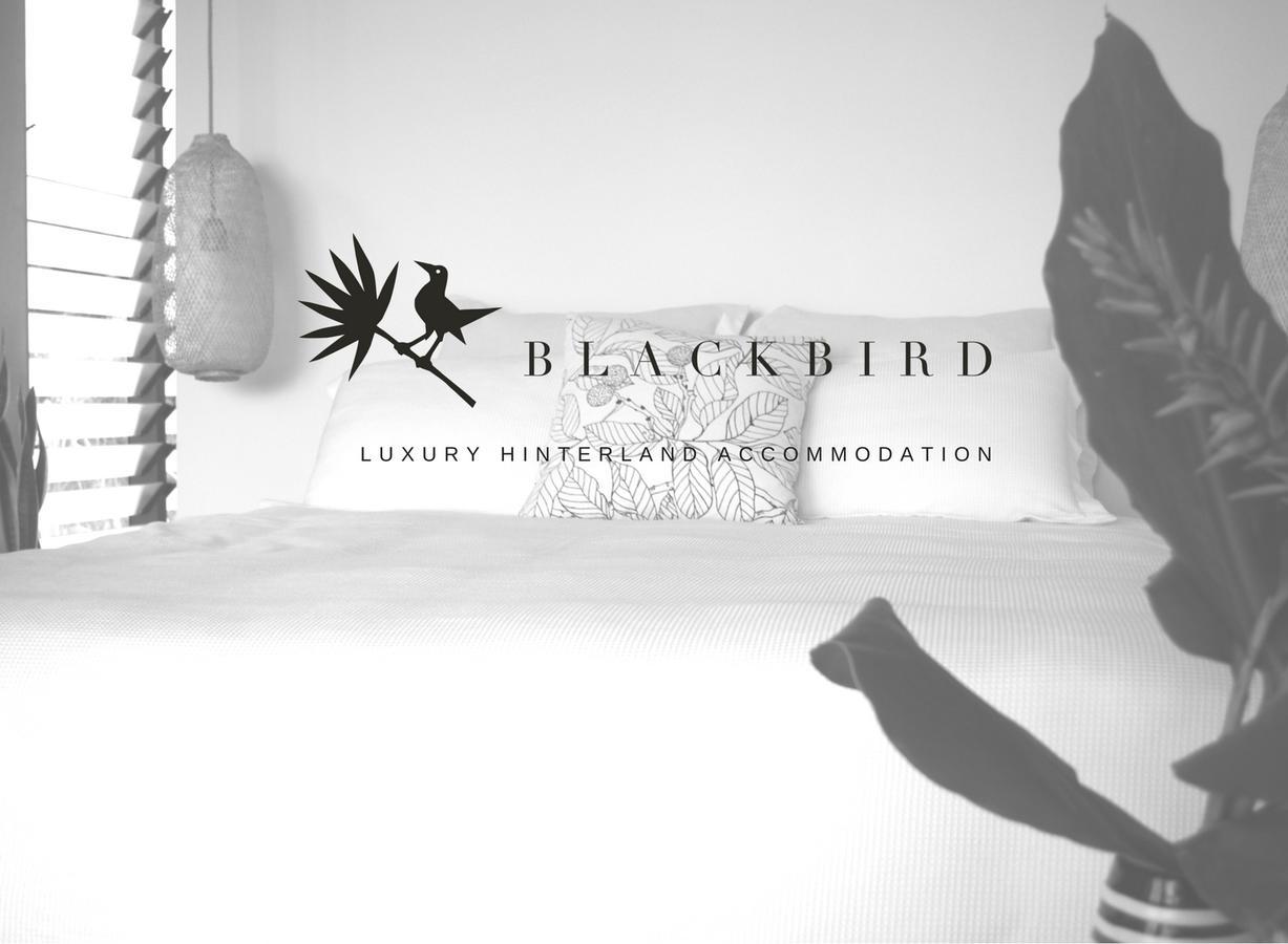 Blackbird Luxury Accommodation Mullumbimby Exteriér fotografie