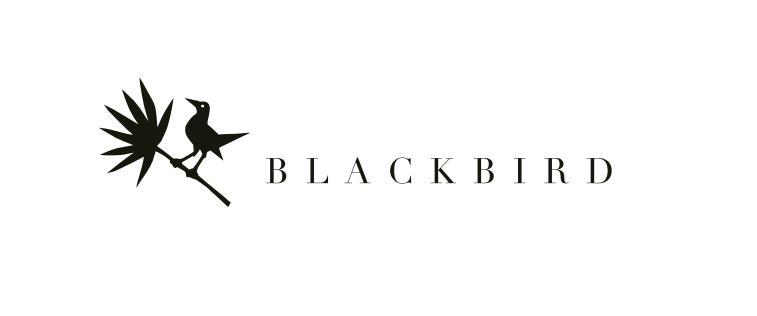 Blackbird Luxury Accommodation Mullumbimby Exteriér fotografie