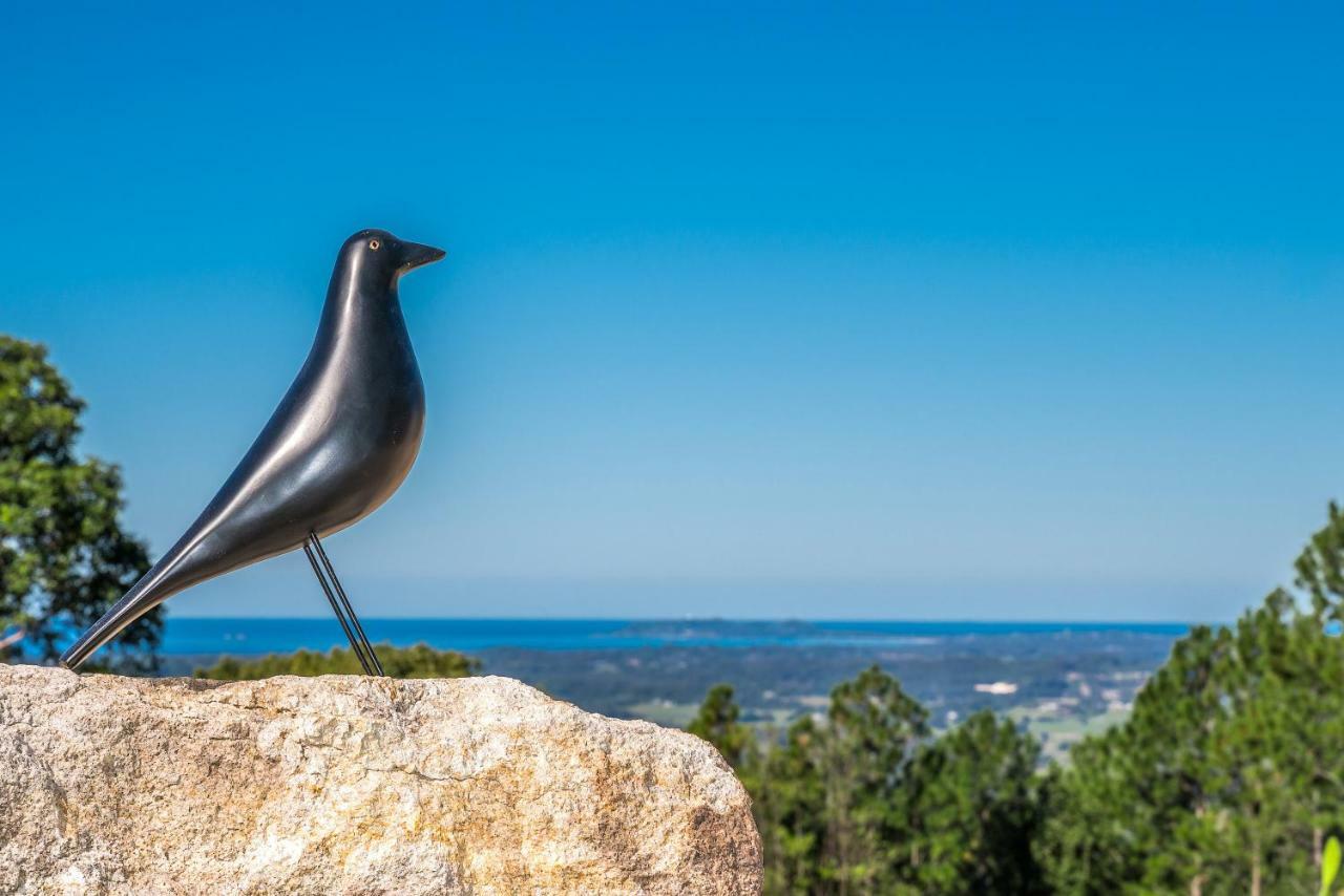 Blackbird Luxury Accommodation Mullumbimby Exteriér fotografie